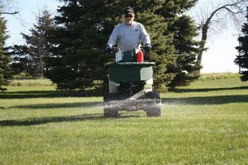 lawn care