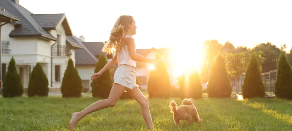 summer-lawn-care-prep