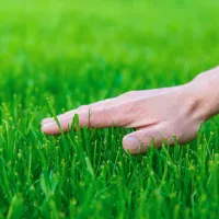 spring-lawn-care-checklist