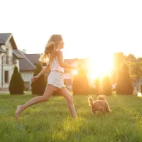 summer-lawn-care-prep